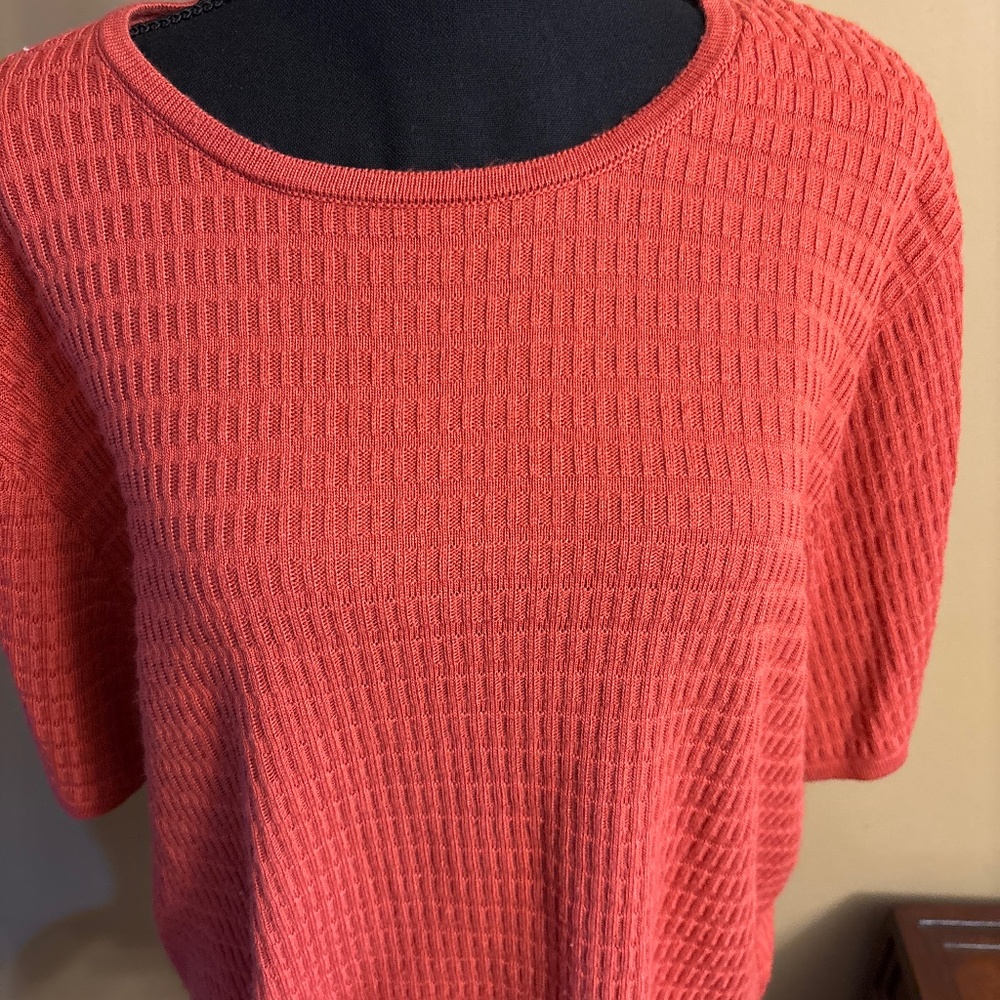 Short sleeved sweater